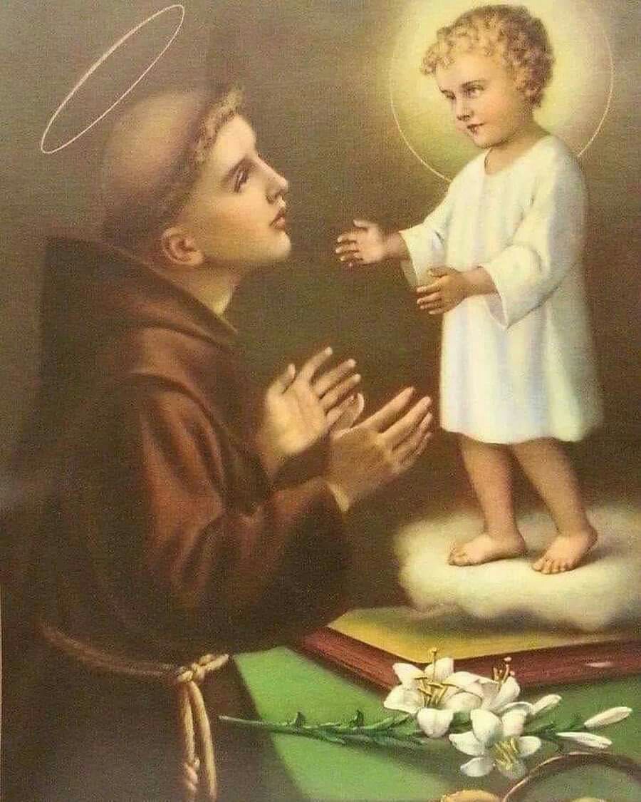 Saint Anthony Pictures  Download Free Images on Unsplash